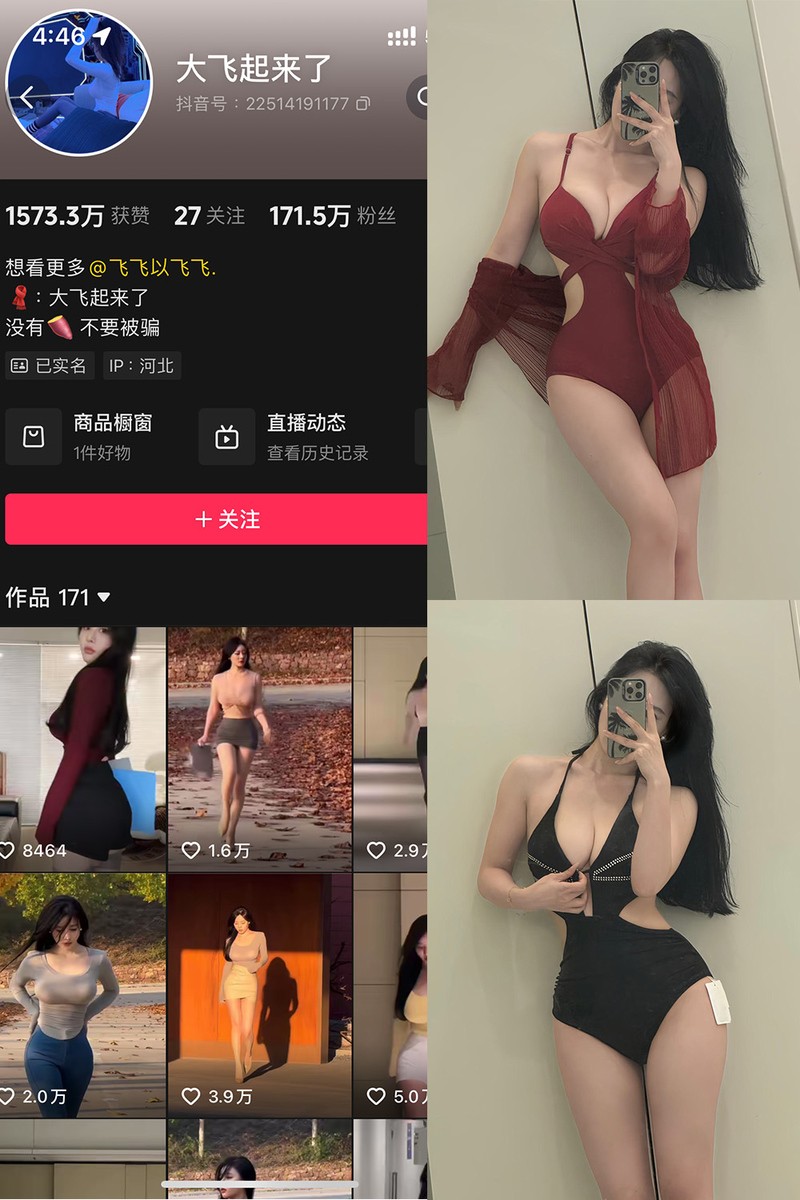 大飞起来了(飞飞以飞飞)微密圈全收录：性感御姐4K写真/定制视频合集下载【3000套,120GB,无水印】