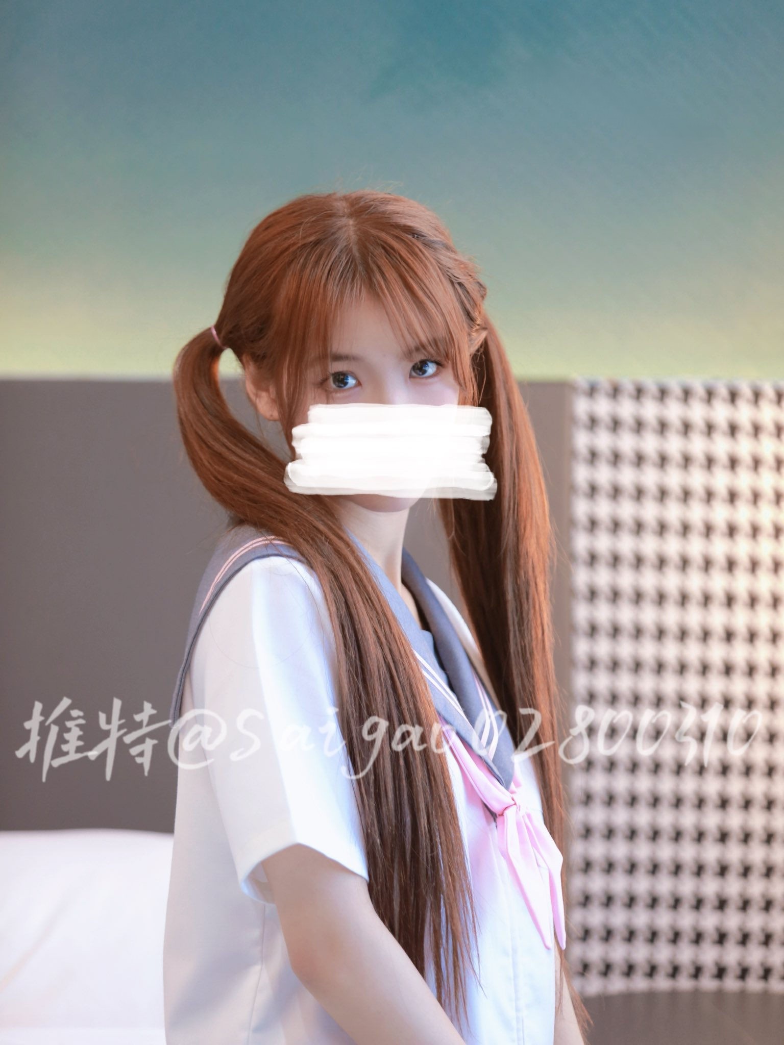 一只可爱简写真合集预览图