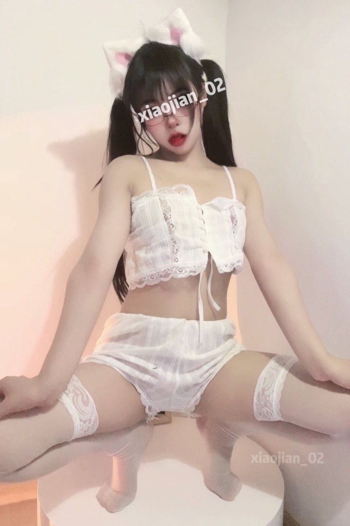 一只可爱简写真合集预览图