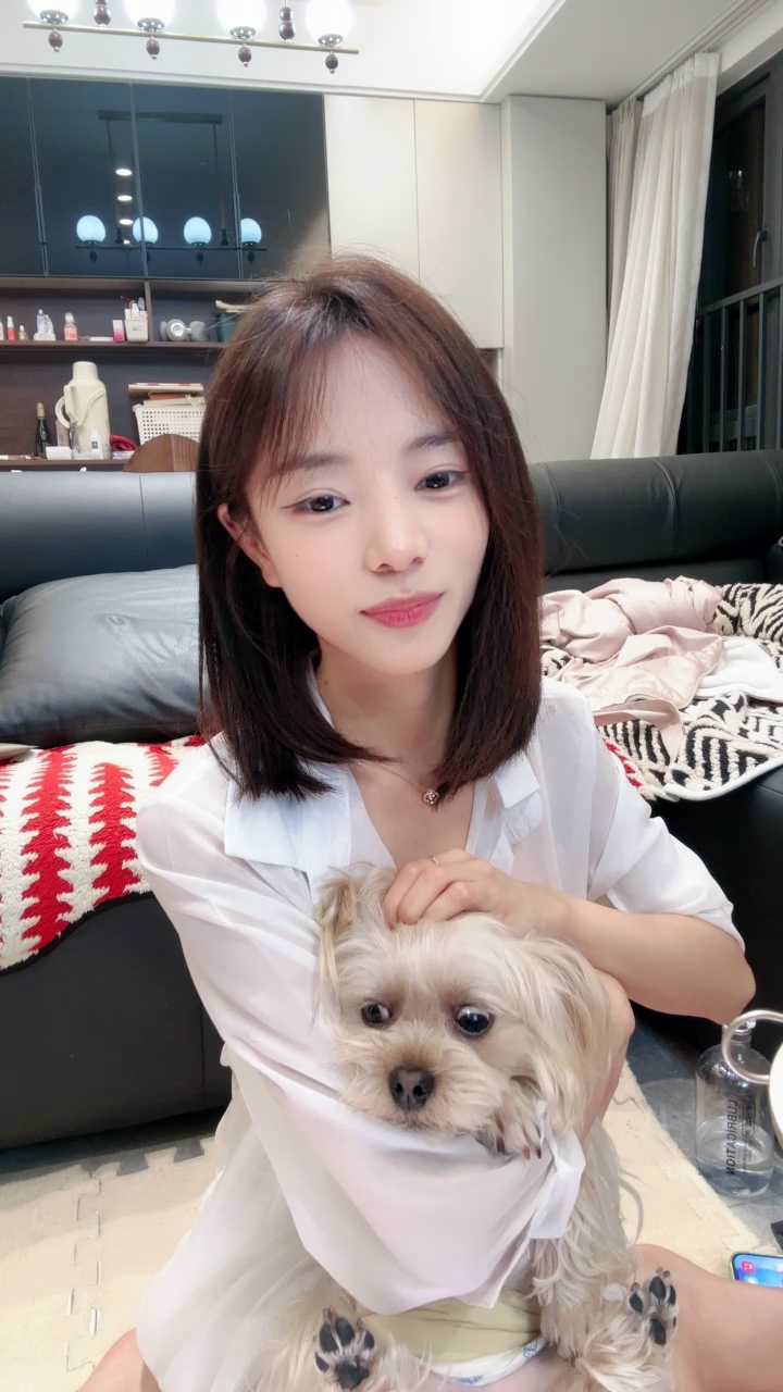 彩色的小熊宝宝写真合集预览图