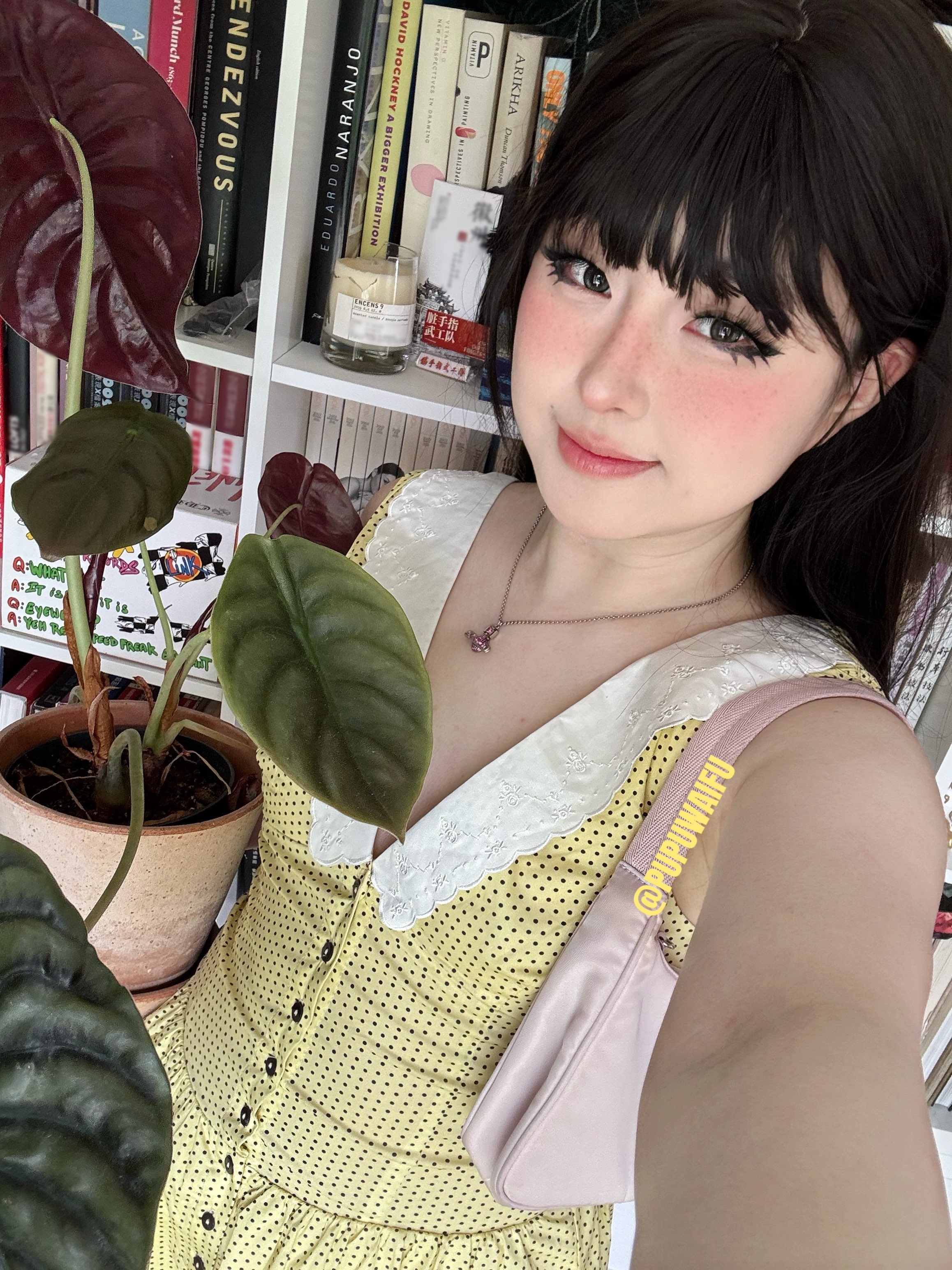 噗噗写真合集预览图